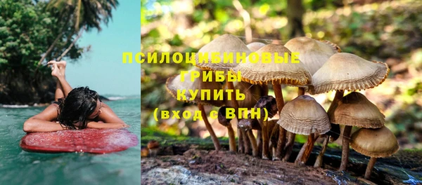 соль курить ск Бородино