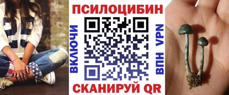 Псилоцибиновые грибы Magic Shrooms  где купить наркоту  Богородск 