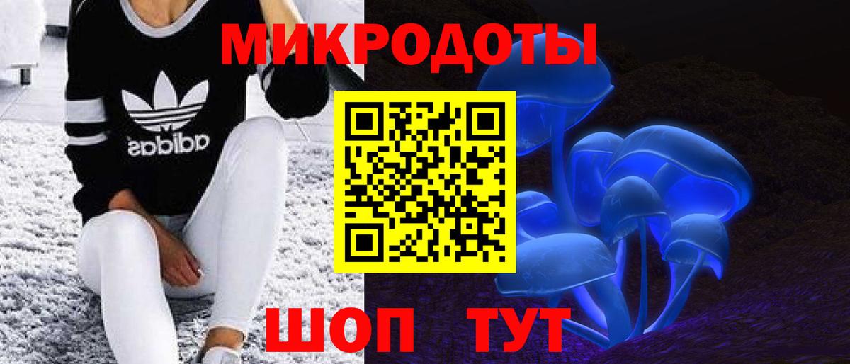 Псилоцибиновые грибы Psilocybine cubensis Богородск